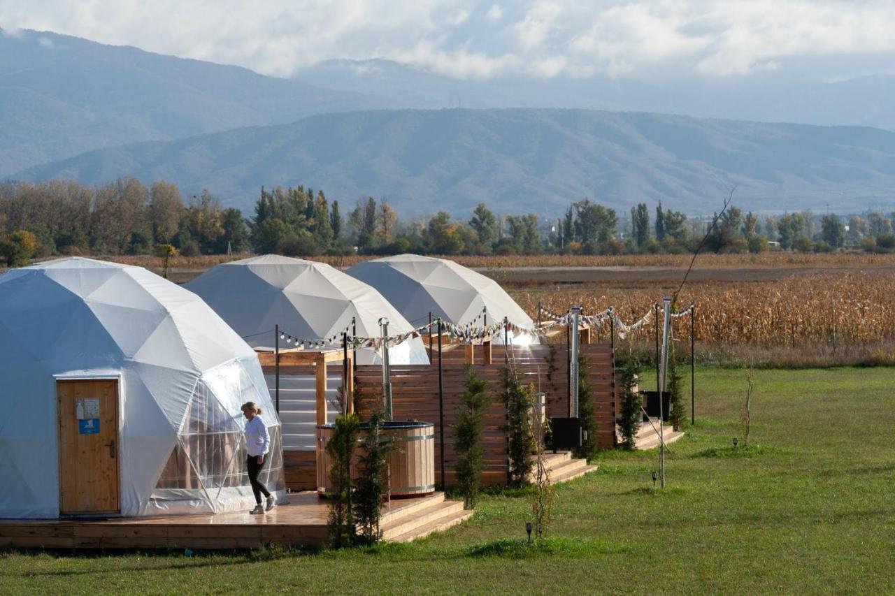 Jewelberry Glamping Hotel Tbilisi Mtsʼkhetʼa Buitenkant foto