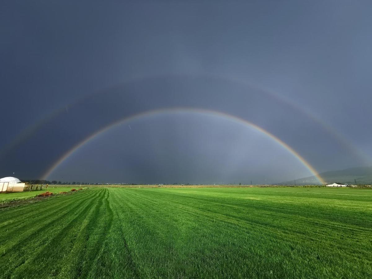 Jewelberry Glamping Hotel Tbilisi Mtsʼkhetʼa Buitenkant foto