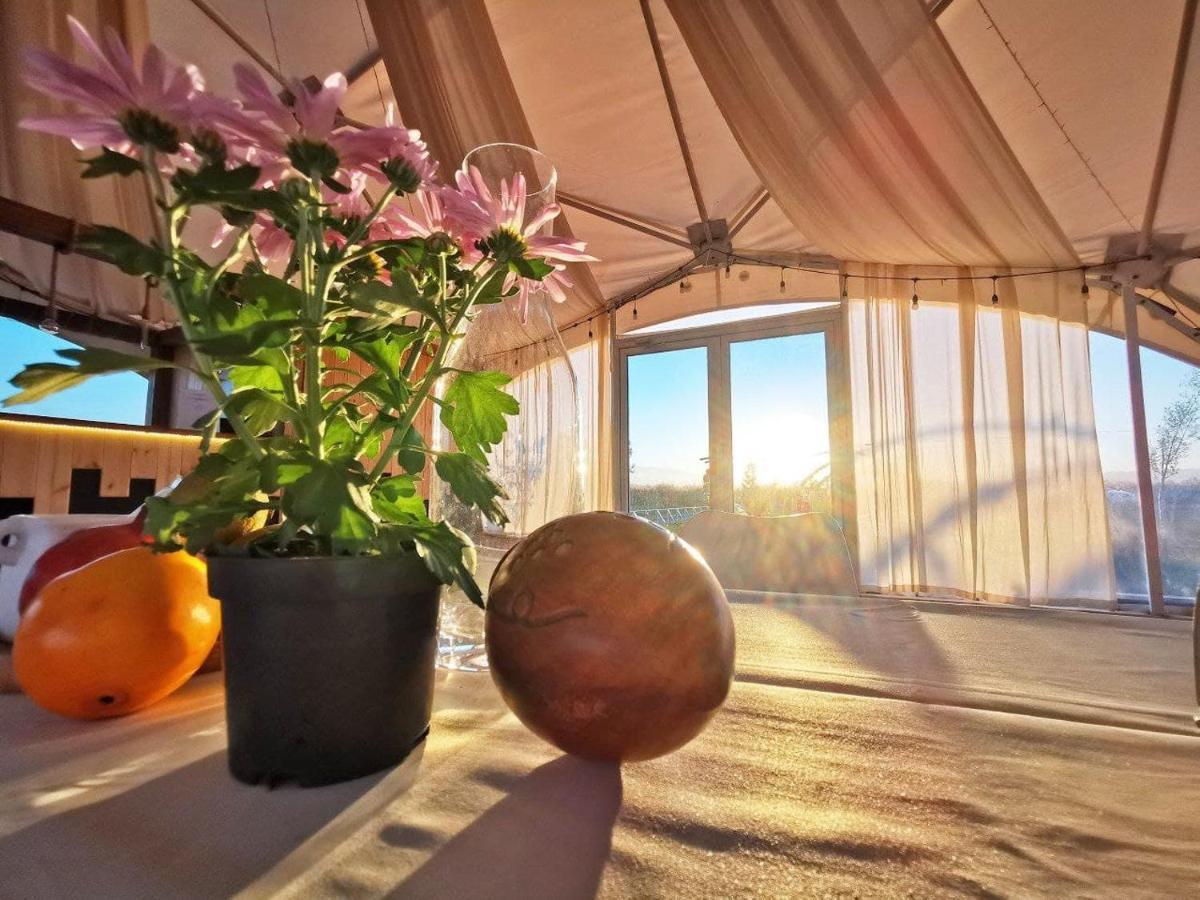 Jewelberry Glamping Hotel Tbilisi Mtsʼkhetʼa Buitenkant foto